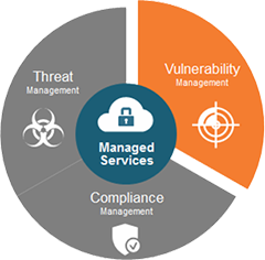 Vulnerability Management Services